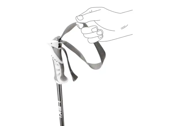 Leki Bliss ski poles Gunmetal/Dark Anthracite/White