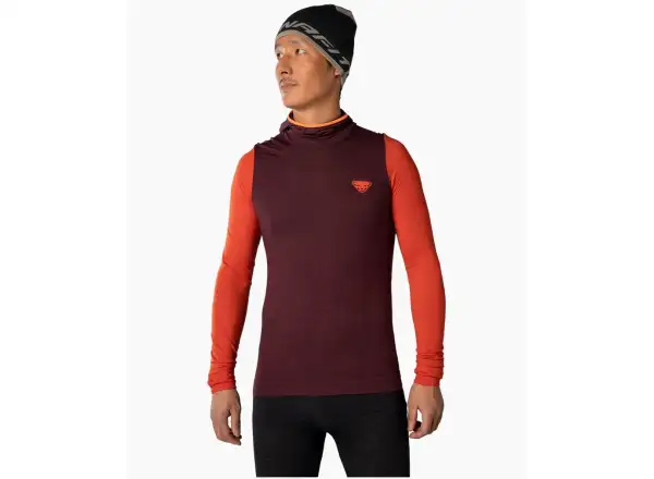 Dynafit Tigard Merino Hoody men's shirt long sleeve Blueberry