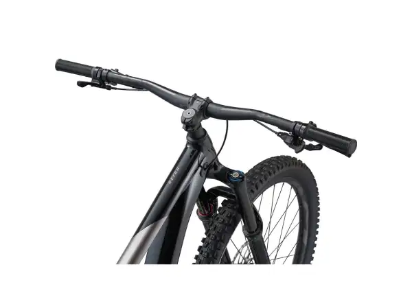 Giant Reign 2 mountain bike black/metal