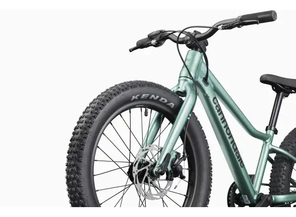 Cannondale Kids Trail Plus 20 kids bike Cactus Green