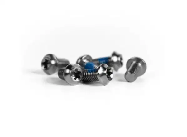 Titanium screws for fastening brake rotors silver