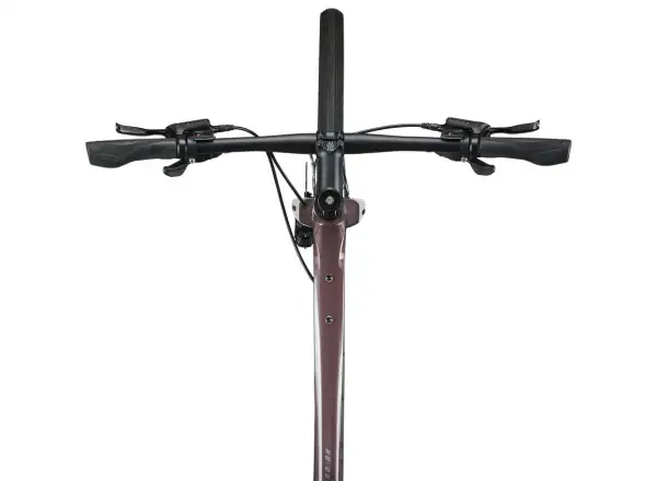 Giant FastRoad AR 3 fitness bike charcoal plum