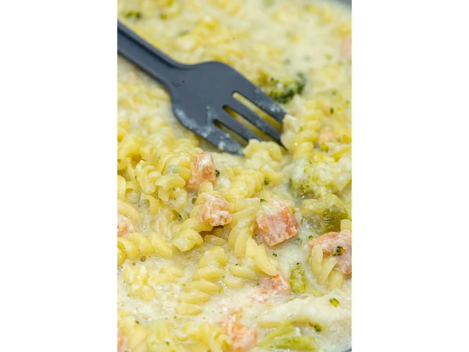 Summit To Eat dehydrated meal Salmon with Pasta and Broccoli 193 g