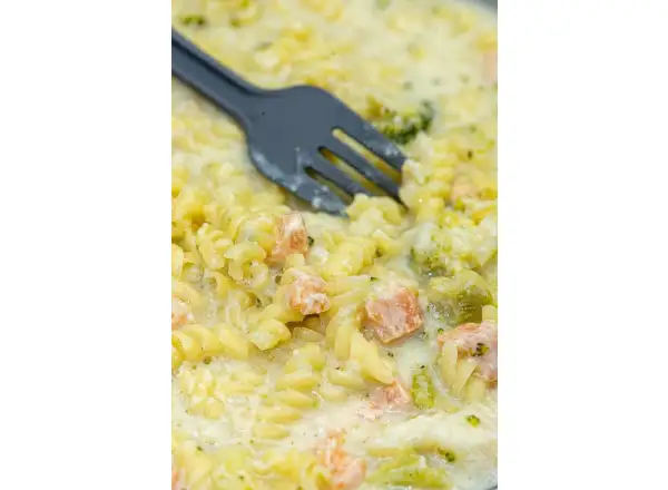 Summit To Eat dehydrated meal Salmon with Pasta and Broccoli 193 g