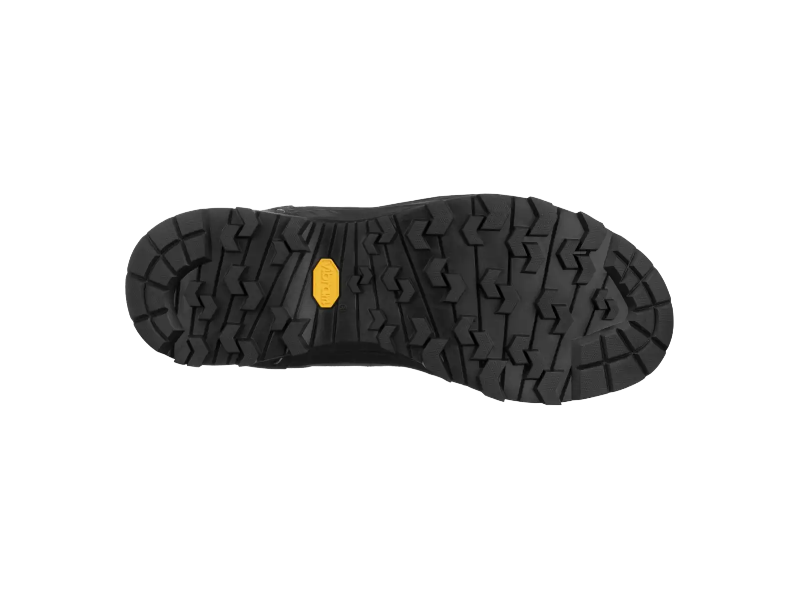 Salewa Alp Trainer 2 GTX men's shoes Bungee Cord/Black