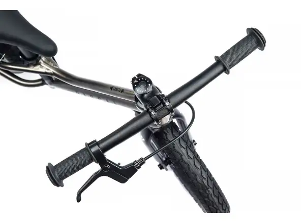 Rascal Punk children's balance bike Titanium