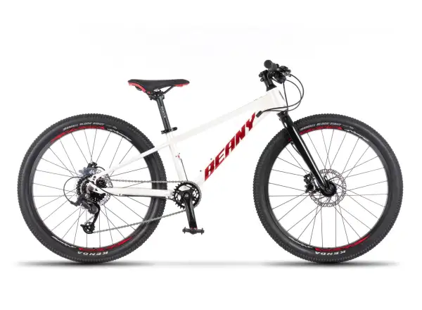 Beany Blaster XC 20 kids' bike White