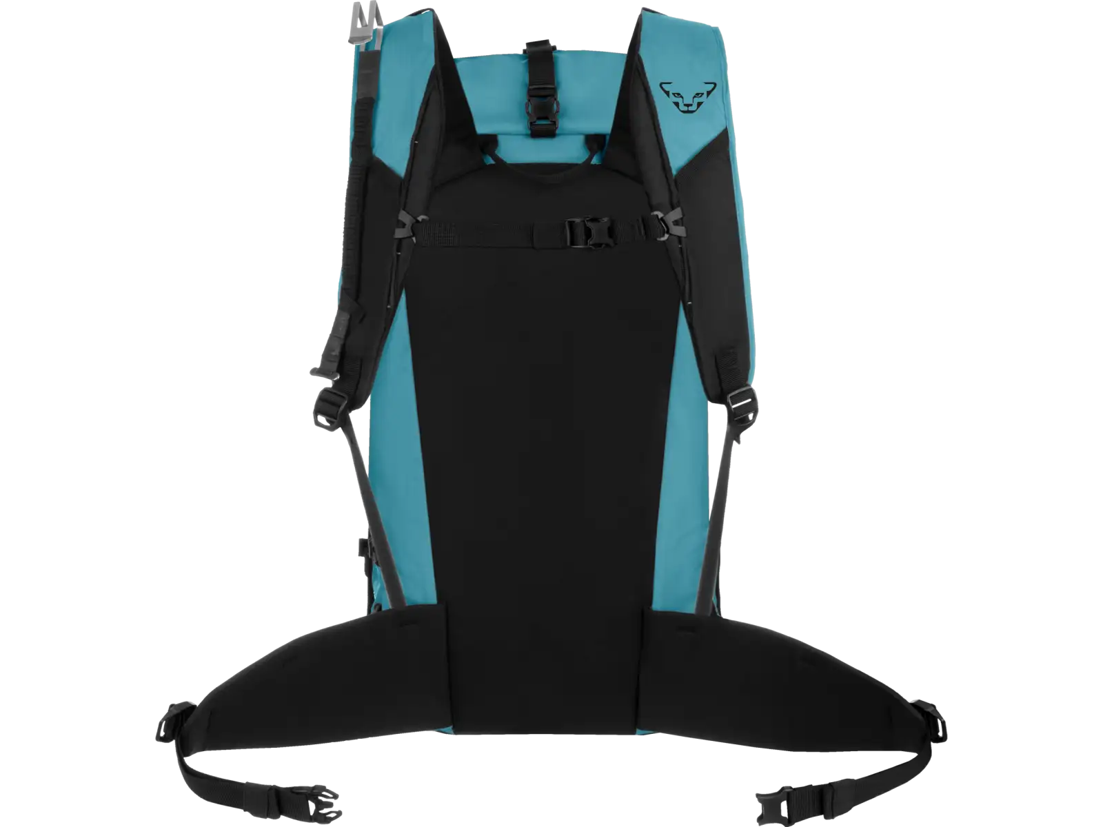 Dynafit Expedition backpack 36 l Storm Blue/Blueberry