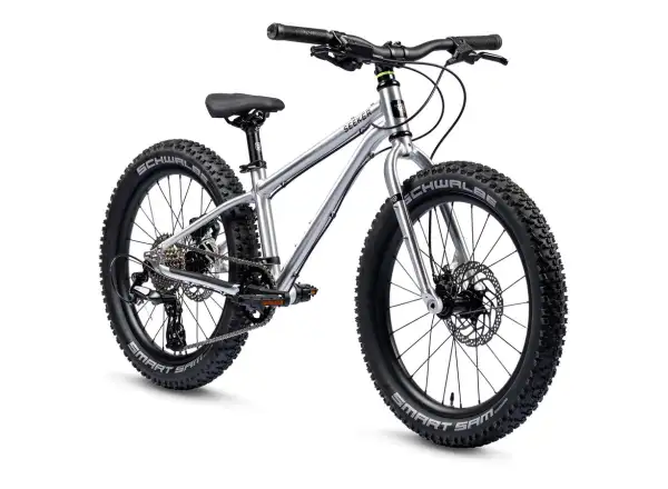 Early Rider Seeker 20 Brushed children's bike 2025