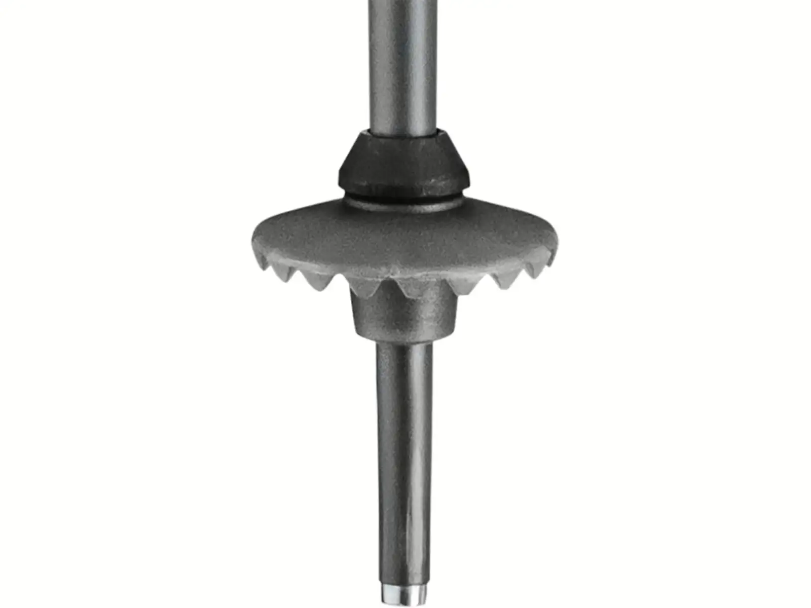 Leki Bold S alpine poles Dark Anthracite/Black/White