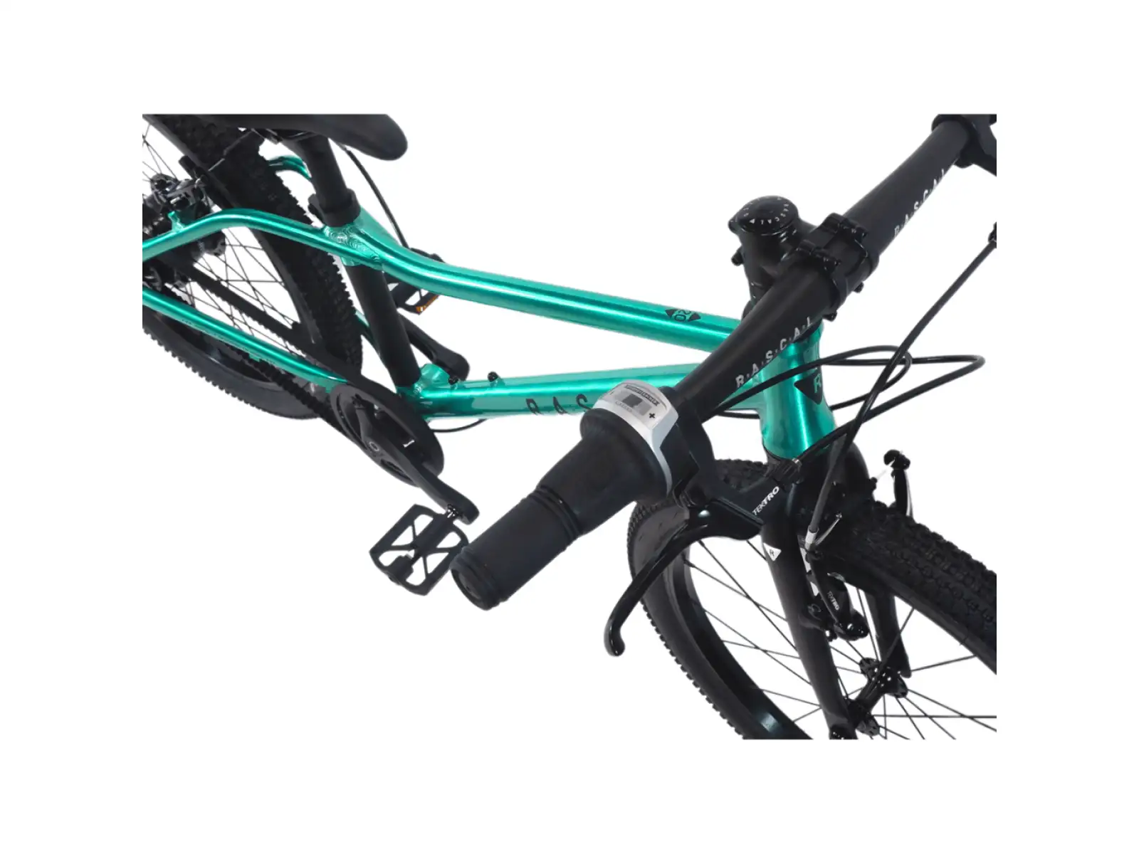 Rascal 20 Limited kids bike Emerald