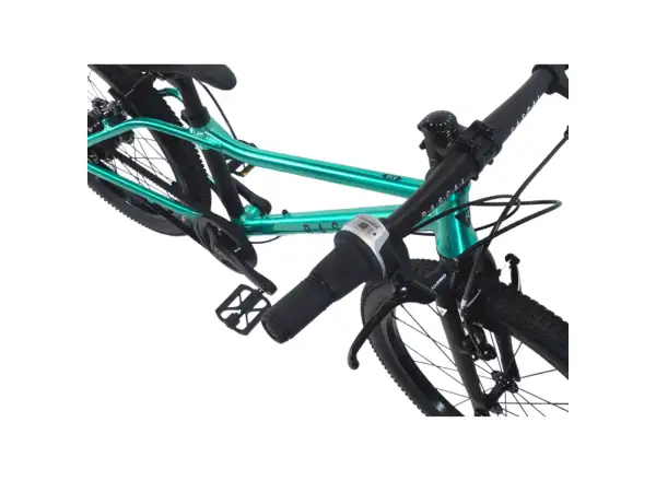 Rascal 20 Limited kids bike Emerald