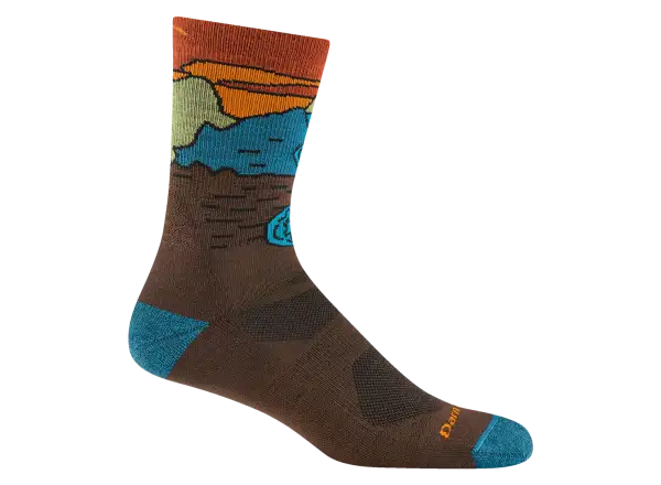 Darn Tough Chasing Waterfalls Micro Crew Lightweight Cushion men's socks Earth