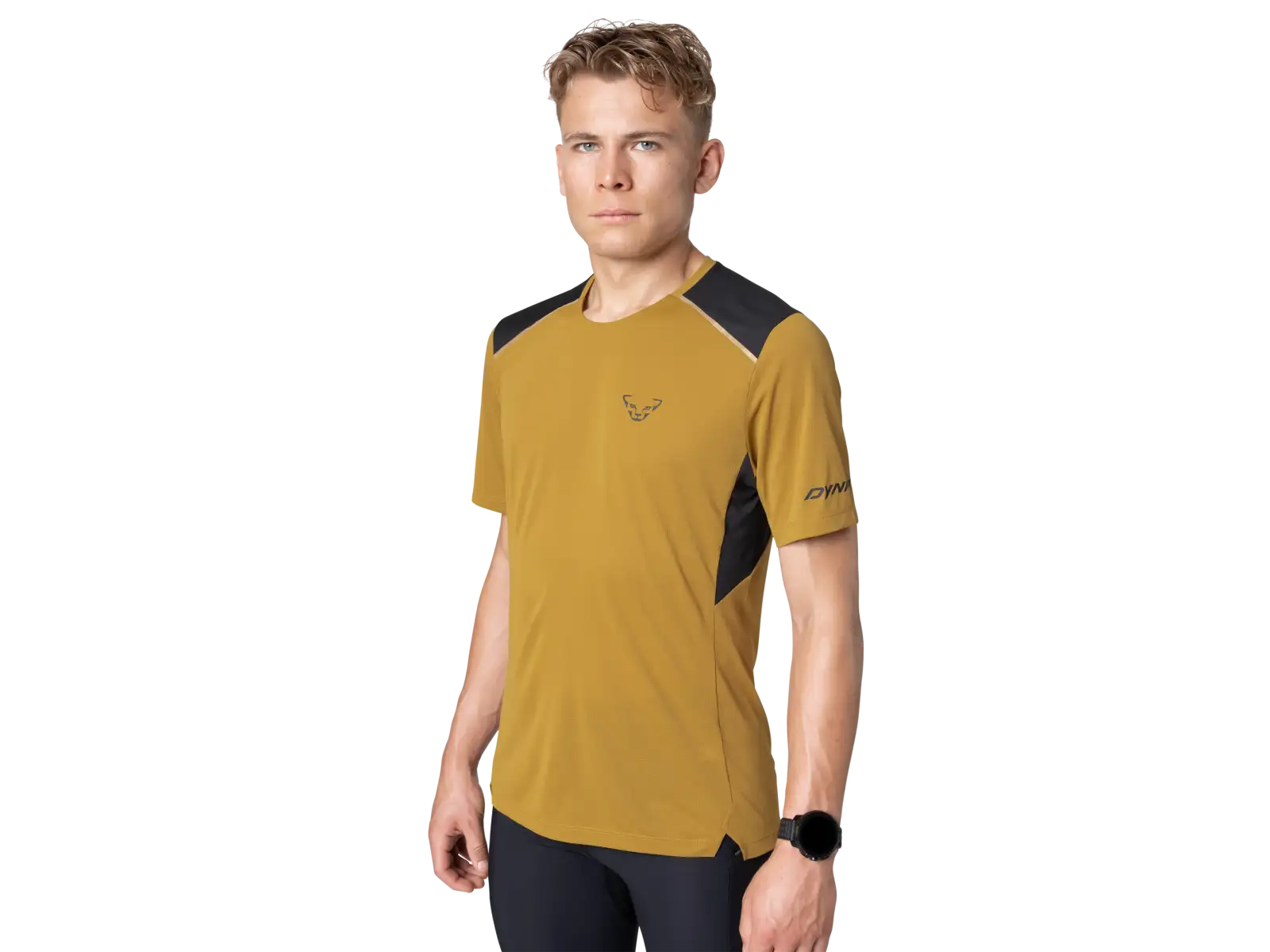 Dynafit Sky men's running T-shirt Tabacco
