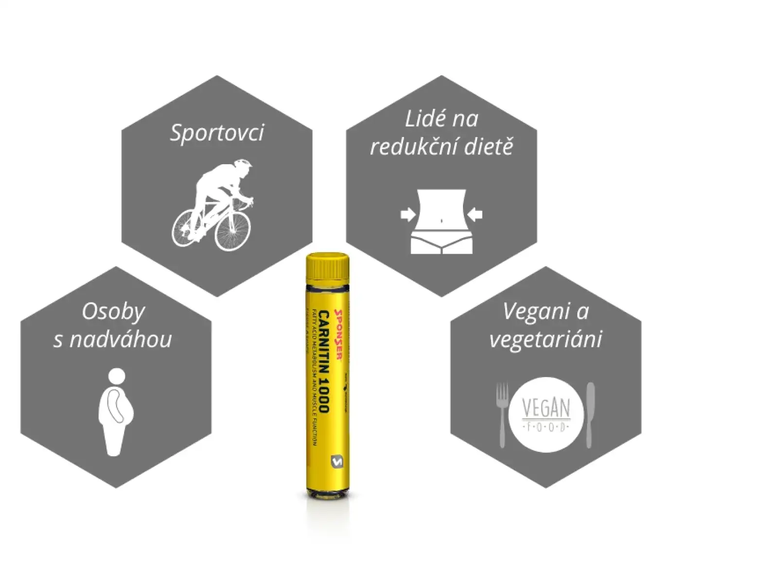 Sponser Carnitin 1000 fat burner L-Carnitine in ampoules
