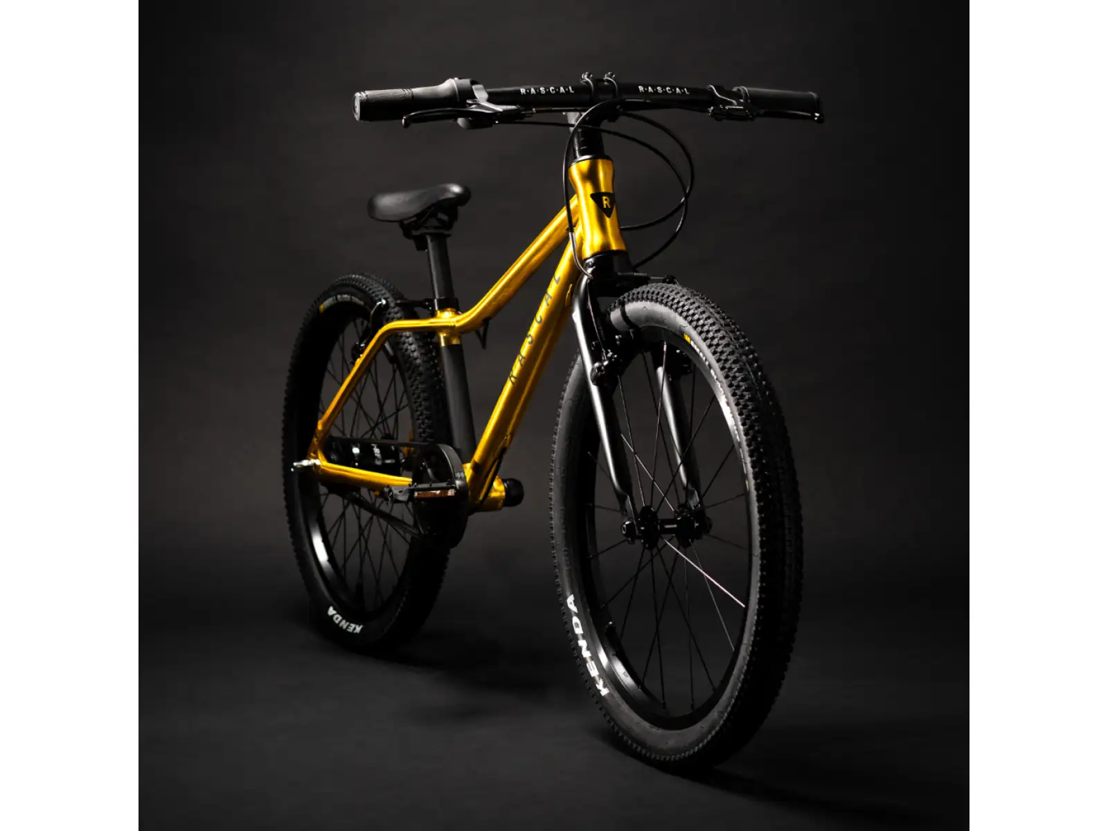 Rascal 20 children's bike Gold