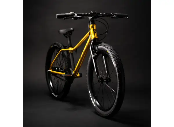 Rascal 20 children's bike Gold