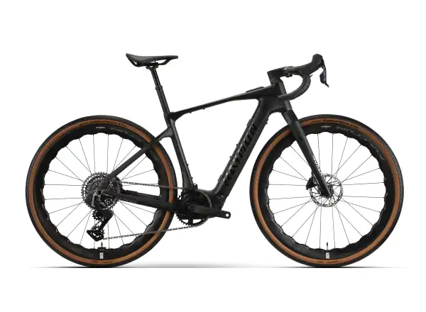 Raymon Norza Ultra carbon sparkle gravel e-bike CHECKED
