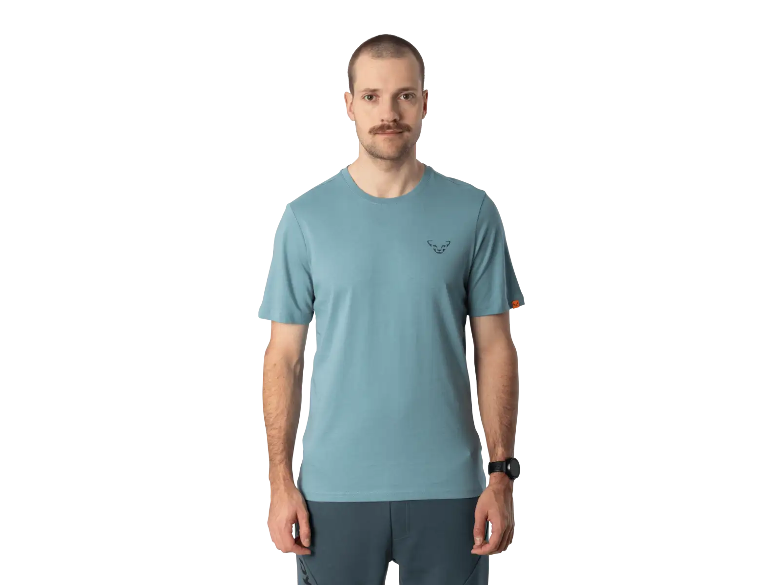 Dynafit Back Graphic Cotton men's T-shirt short sleeve Smoke Blue/Approach