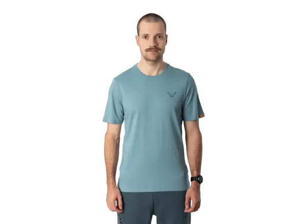 Dynafit Back Graphic Cotton men's T-shirt short sleeve Smoke Blue/Approach