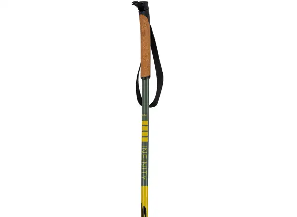 Swix Infinity Basic cross-country poles black/yellow