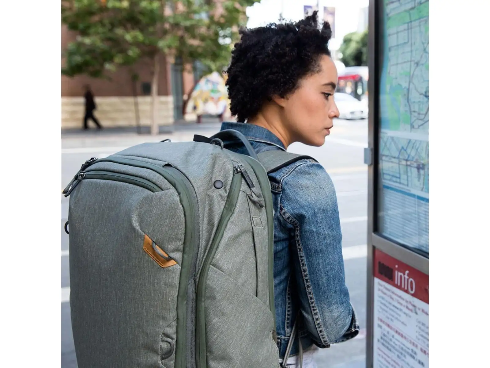 Peak Design Travel Backpack 45 l backpack Sage