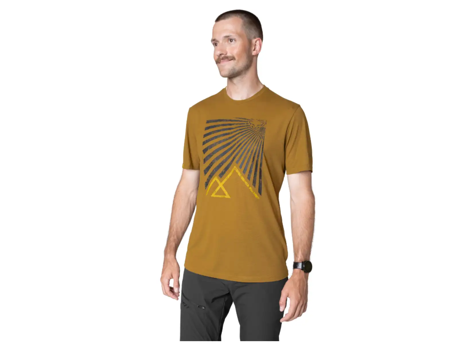 Dynafit Transalper Graphic men's T-shirt short sleeve Relic
