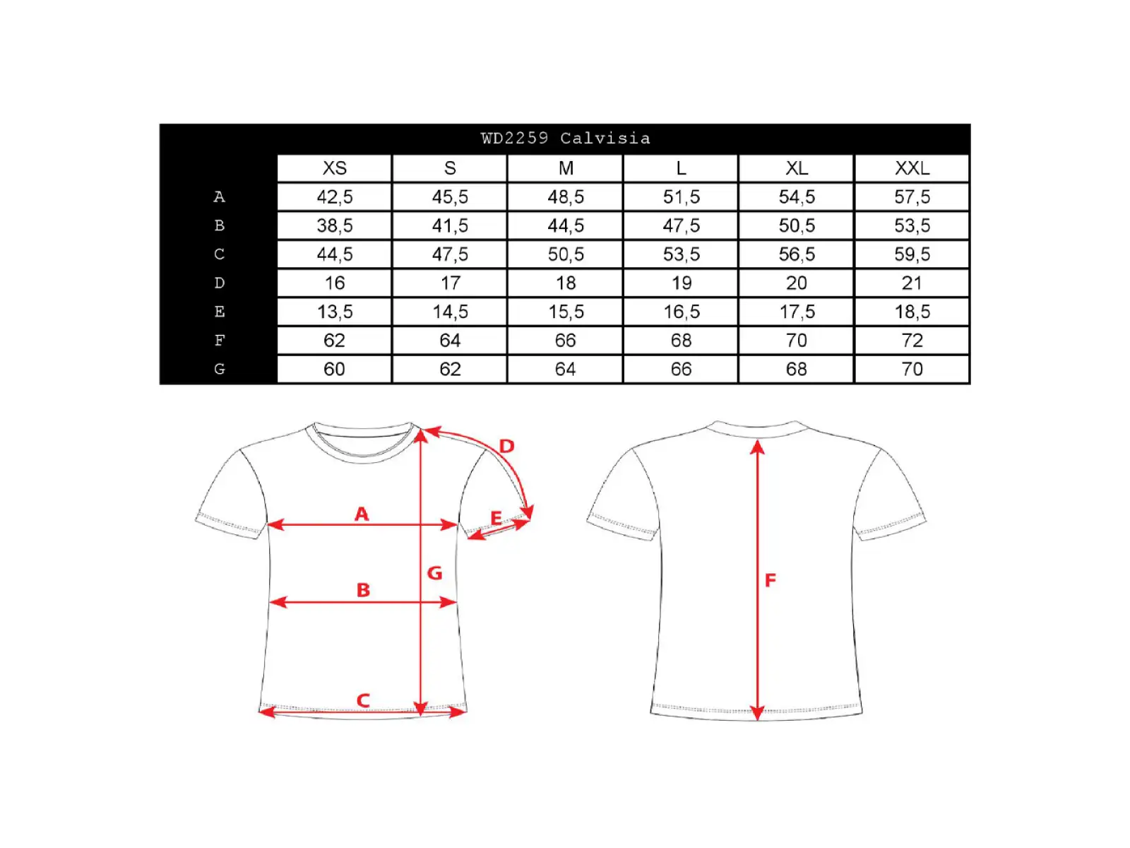 Silvini Calvisia women's T-shirt short sleeve Cloud/Grey