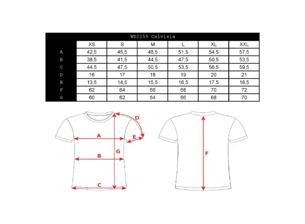 Silvini Calvisia women's T-shirt short sleeve Cloud/Grey