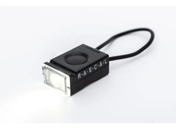 Rascal Bookman set of flashlights