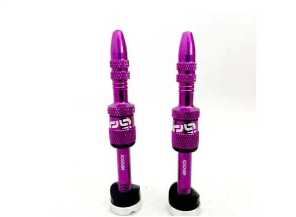E-13 Quick Fill tubeless valves 23-31 mm 2 pcs Eggplant