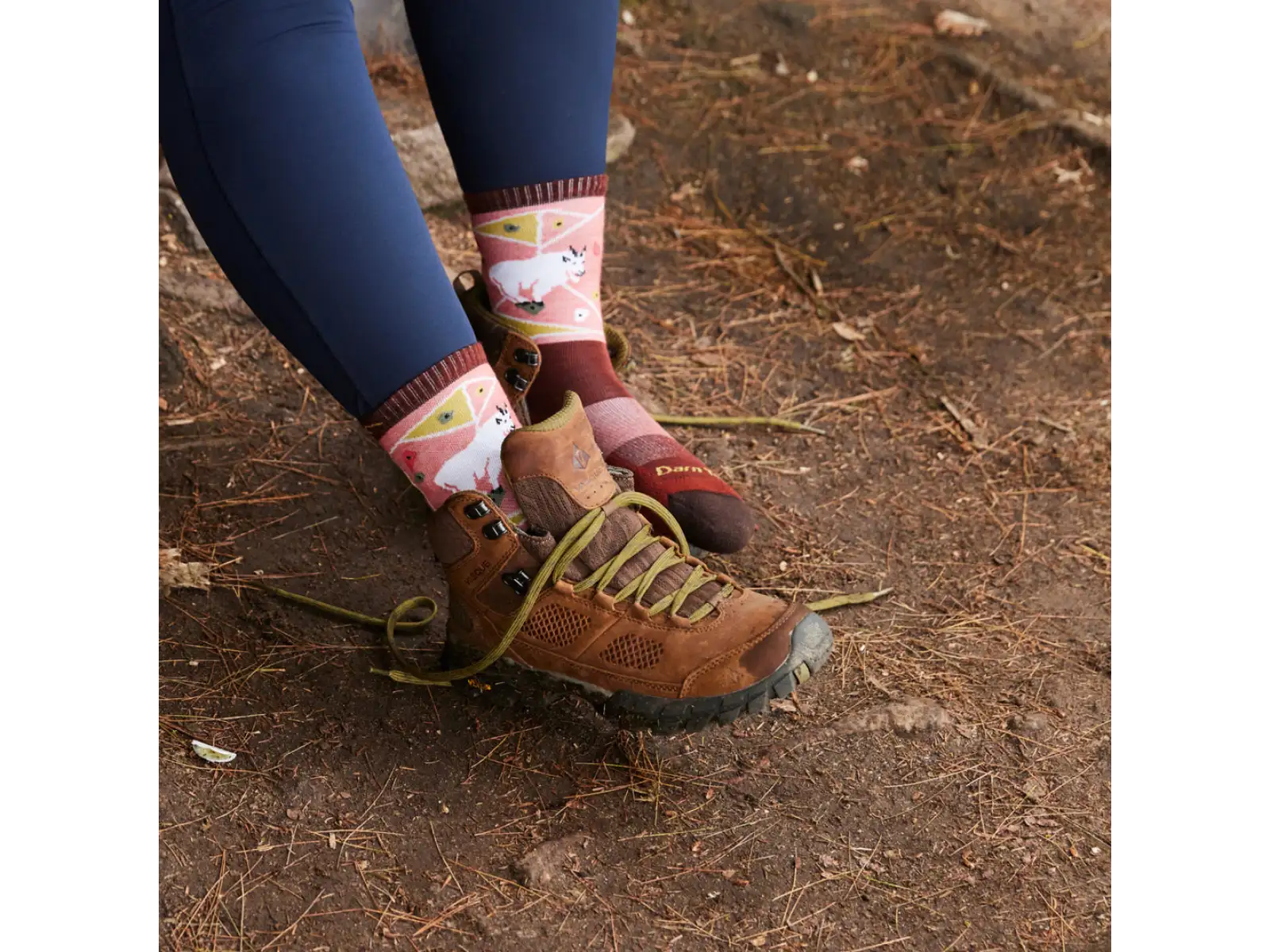 Darn Tough Critter Club Micro Crew Lightweight Cushion women's socks canyon