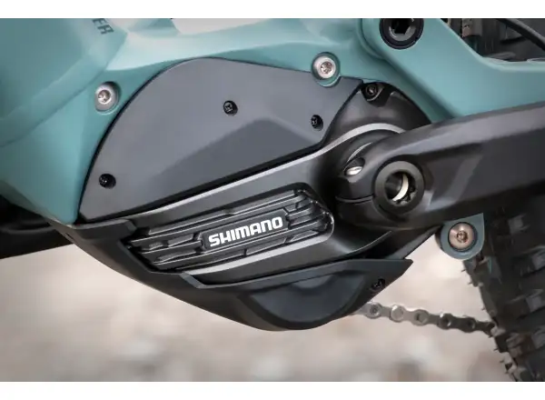Superior eXF 9049 R mountain e-bike matte trooper green/chrome silver