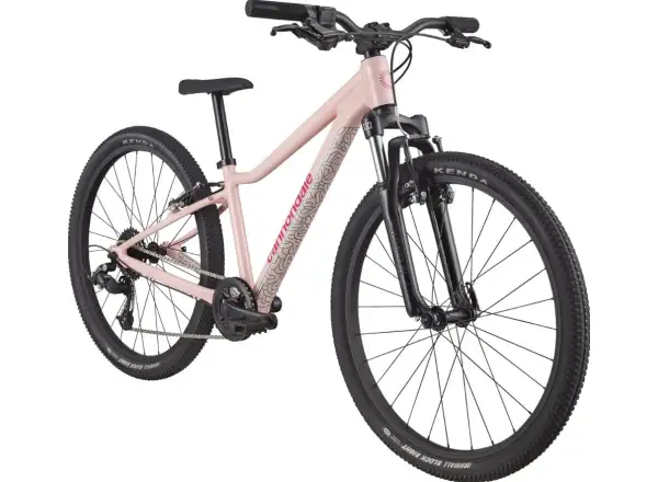 Cannondale Trail 24 children's bike DPK