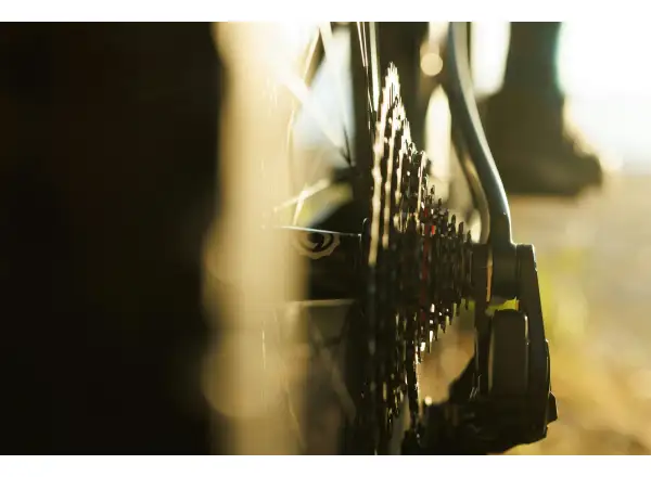 Ibis Ripley V5 XTR Di2 mountain bike Green Flash