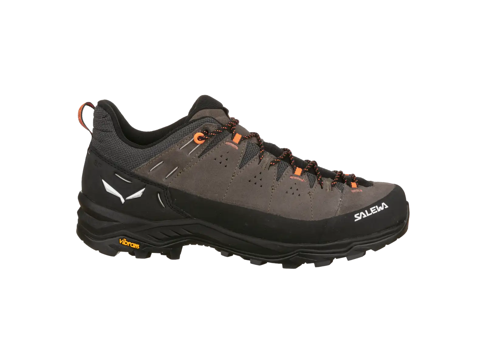 Salewa Alp Trainer 2 men's shoes Bungee Cord / Black