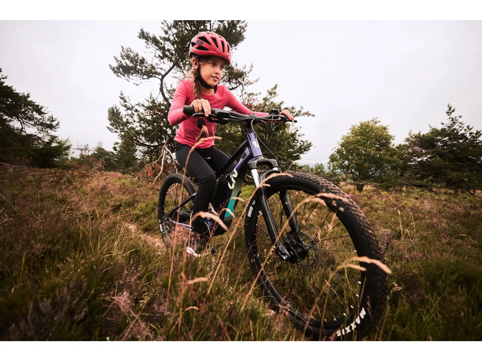 Liv Tempt E+ Junior 26 kids e-bike Milky Way