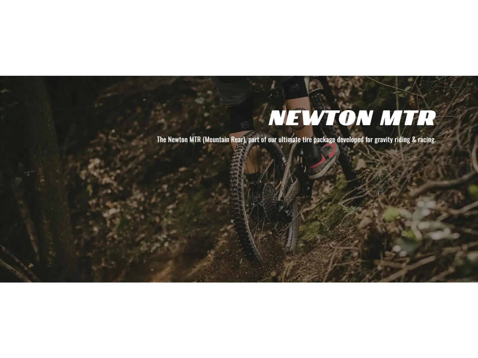 Goodyear Newton MTR Trail Tubeless Complete 27.5x2.60" MTB tire kevlar