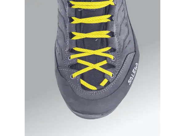 Salewa Alp Trainer 2 GTX men's shoes Bungee Cord/Black
