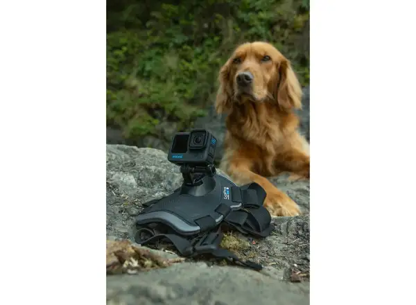 GoPro Dog Harness