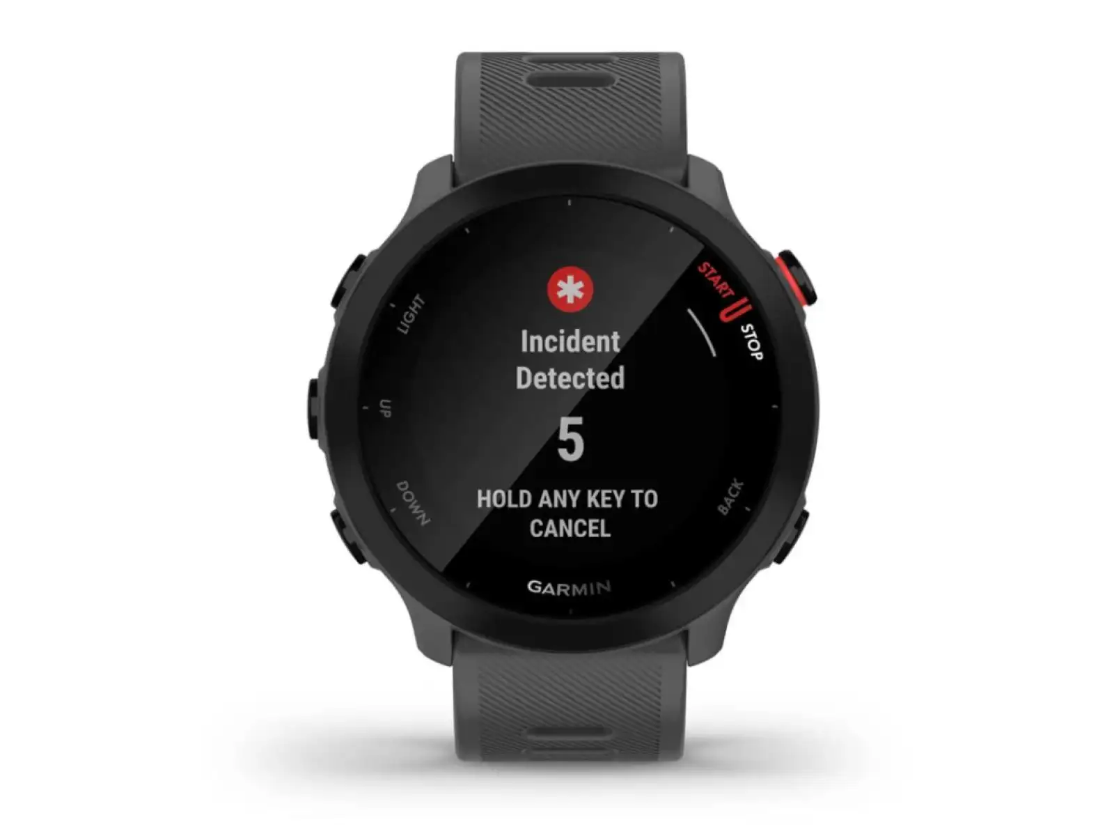 Garmin Forerunner 55 smart watch Grey