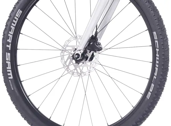 Superior F.L.Y. 27 kids bike Matte Silver