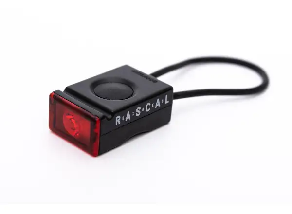 Rascal Bookman set of flashlights