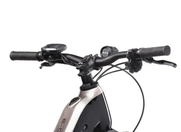 Crussis e-Country 10.10-M (720 Wh) low-step electric bike