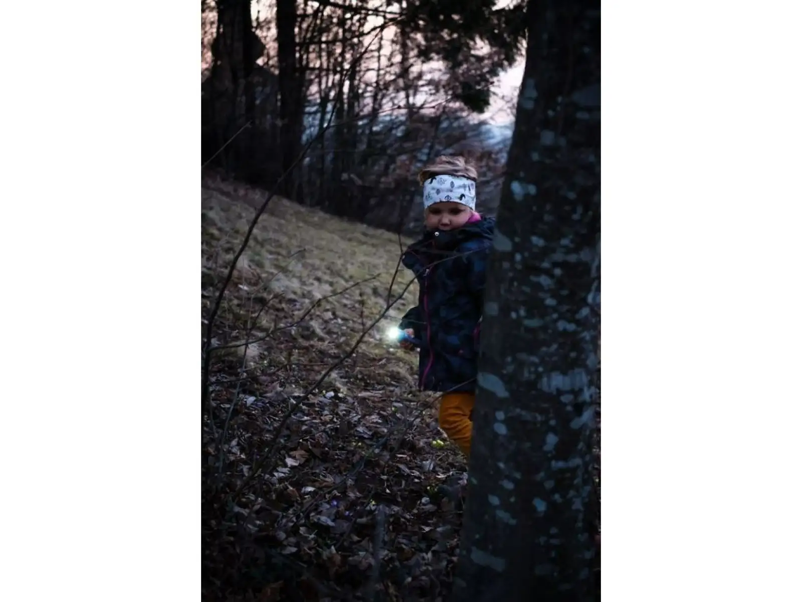 Ledlenser KidBeam4 Rainbow Flashlight