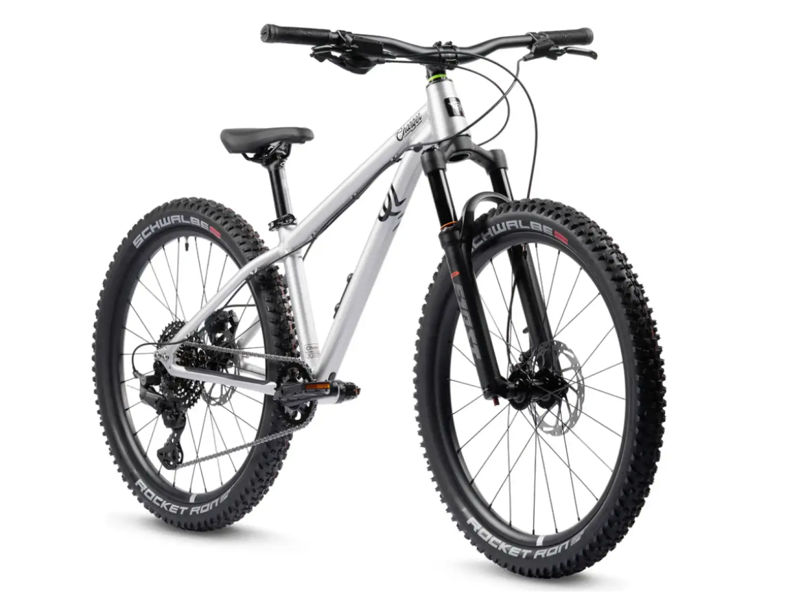 Early Rider Charger 24 kids bike Brushed 2026