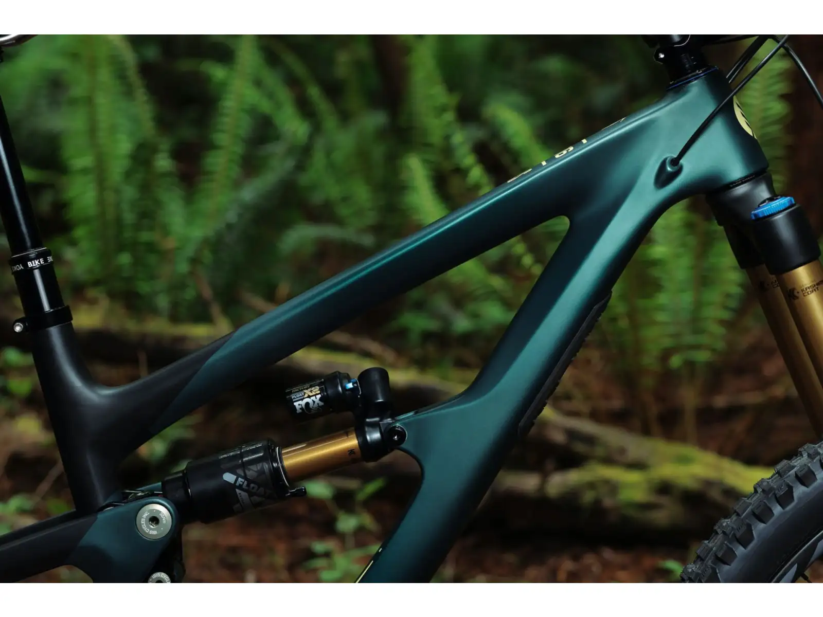 Ibis HD6 GX T-type AXS mountain bike green