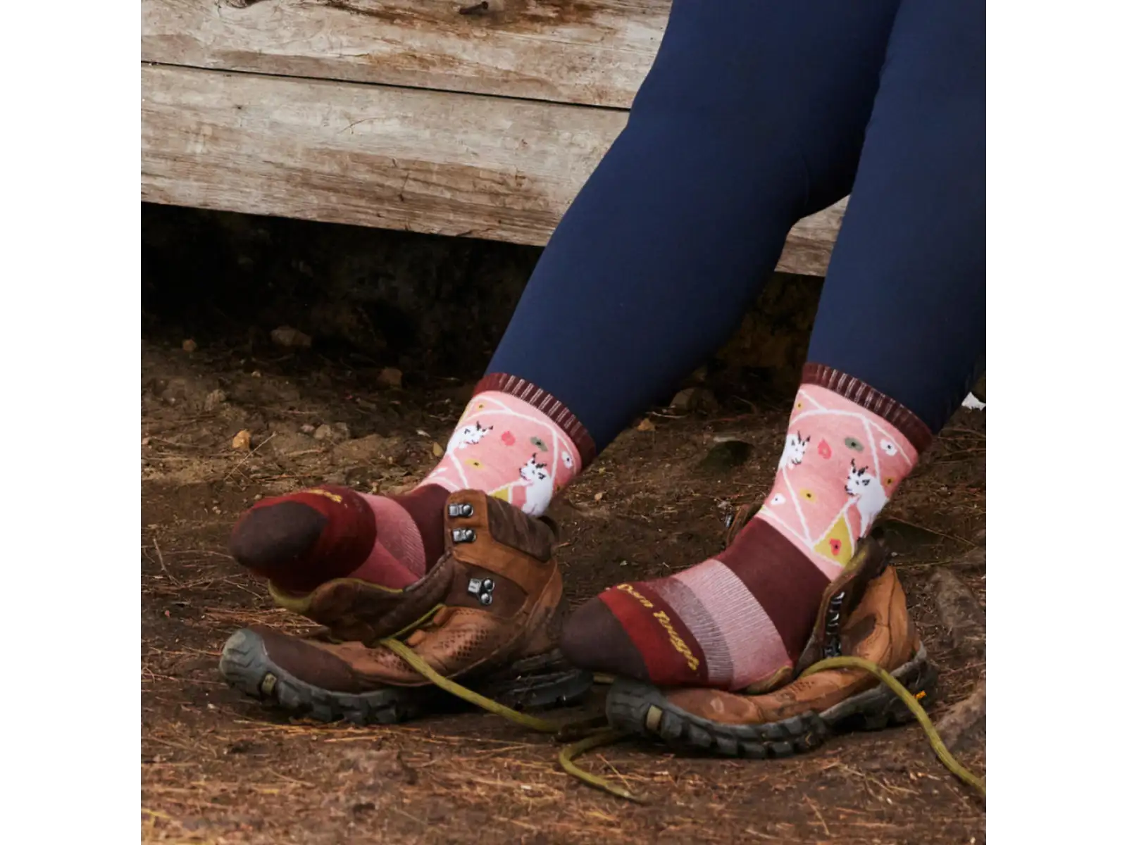 Darn Tough Critter Club Micro Crew Lightweight Cushion women's socks canyon