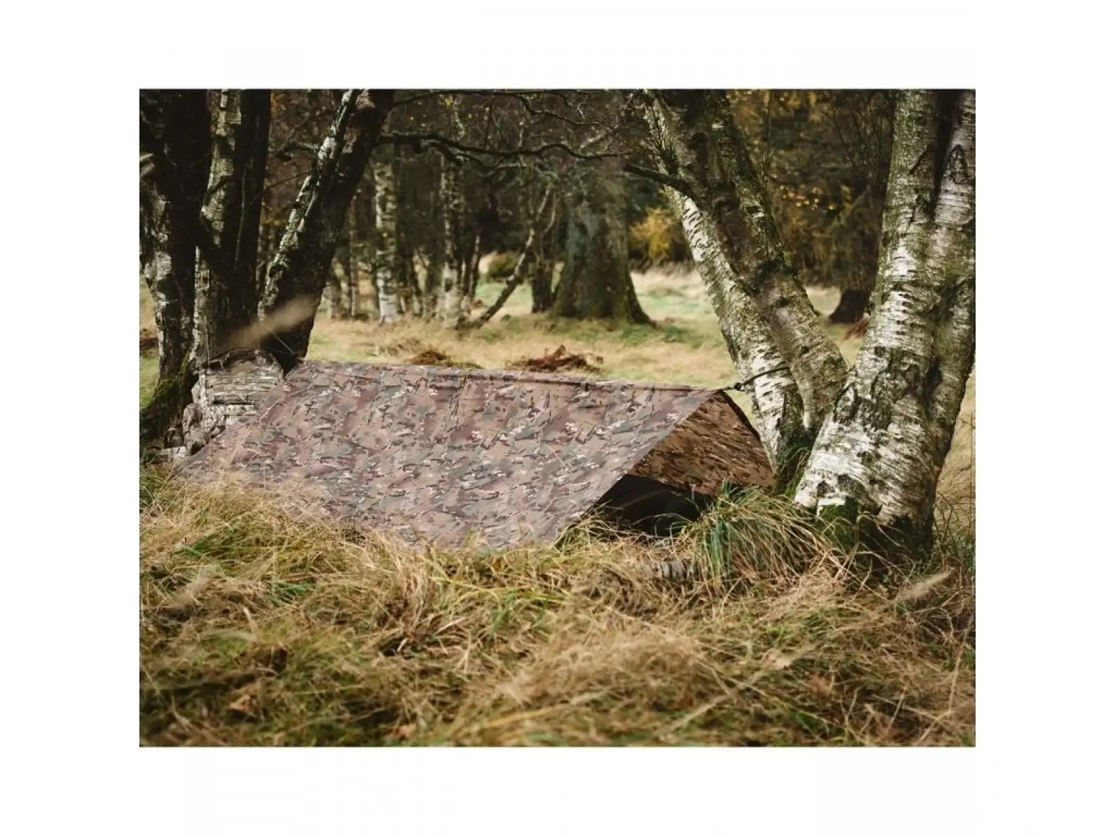 Highlander Basha bivouac tarp camouflage