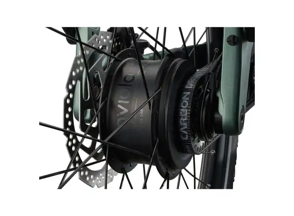 Giant Explore E+ 2 DD trekking e-bike Alpine Green